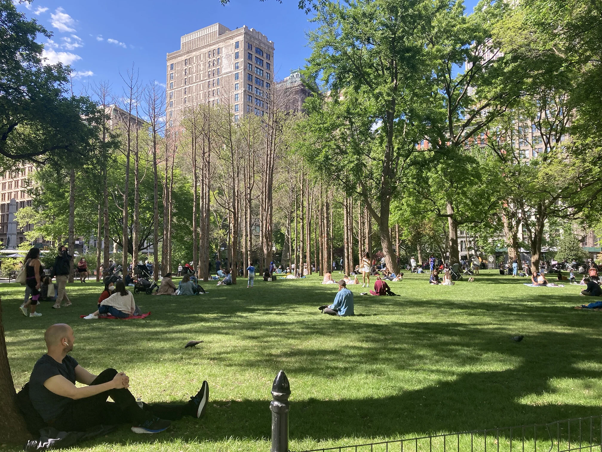 &nbsp&nbsp&nbsp&nbsp GHOST FOREST — MAYA LIN STUDIO